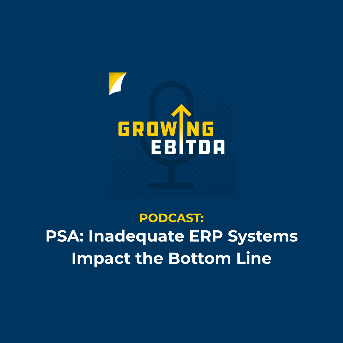 ERP Systems impact the bottom line