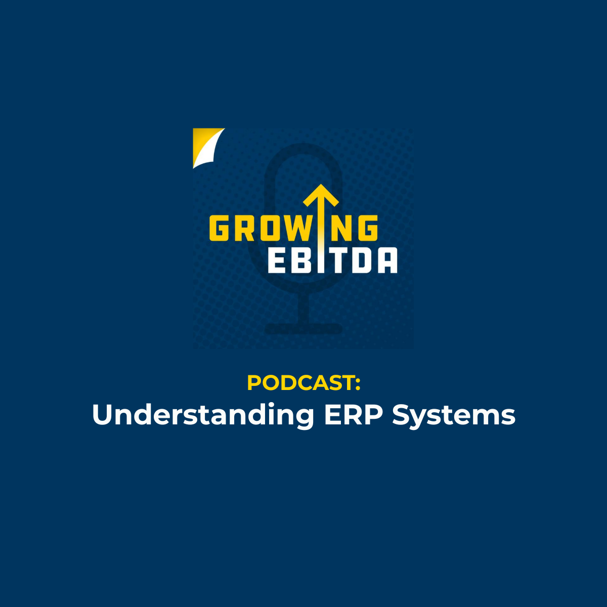 Understanding ERP Systems